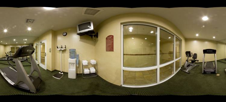智选假日套房酒店布鲁克斯维尔西(Holiday Inn Express & Suites Brooksville West)图片