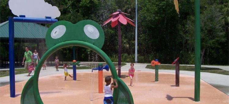 坦帕奥德玛律Residence Inn 酒店(Residence Inn Tampa Oldsmar)图片