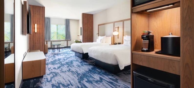 列克星敦东/I-75万枫酒店及套房(Fairfield Inn & Suites Lexington East/I-75)图片