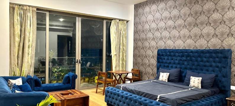 Luxury Master Bedroom with Bathtub n Private Entry Best for Parties图片