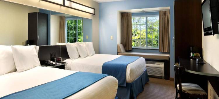 巴斯麦客达套房酒店(Microtel Inn & Suites by Wyndham Bath)图片