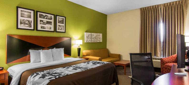 舒眠酒店及套房 - 近乔治王子堡李(Sleep Inn & Suites Prince George Near Fort Lee)图片