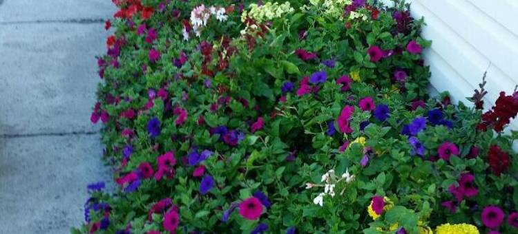 耶洛奈夫速8酒店(Super 8 by Wyndham Yellowknife)图片