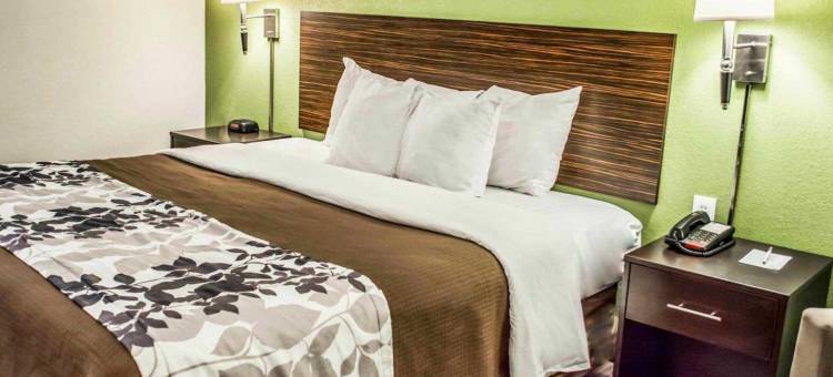 史东尼溪-圣彼得堡南舒眠套房酒店(Sleep Inn & Suites Stony Creek - Petersburg South)图片