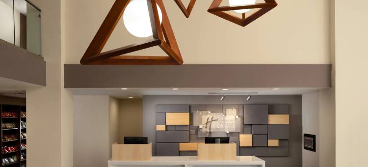 智选假日套房酒店欧文DFW机场北(Holiday Inn Express & Suites Irving DFW Airport North)图片