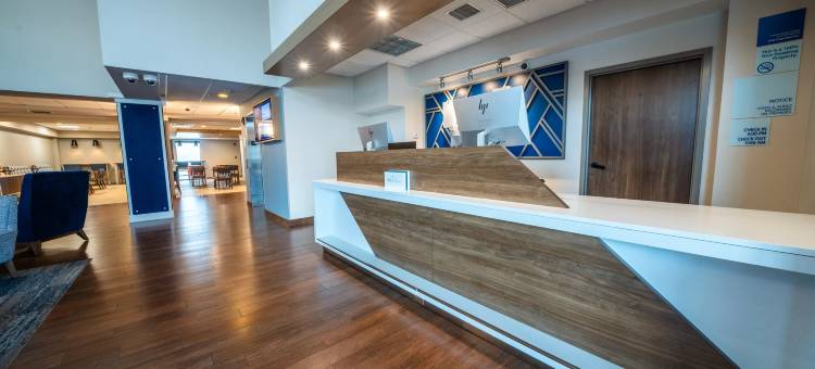 坦帕奥尔兹马智选假日酒店及套房(Holiday Inn Express & Suites Tampa Northwest-Oldsmar)图片