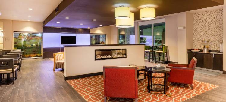 威奇托福尔斯密歇根州立大学区拉昆塔温德姆套房酒店(La Quinta Inn & Suites by Wyndham Wichita Falls - MSU Area)图片