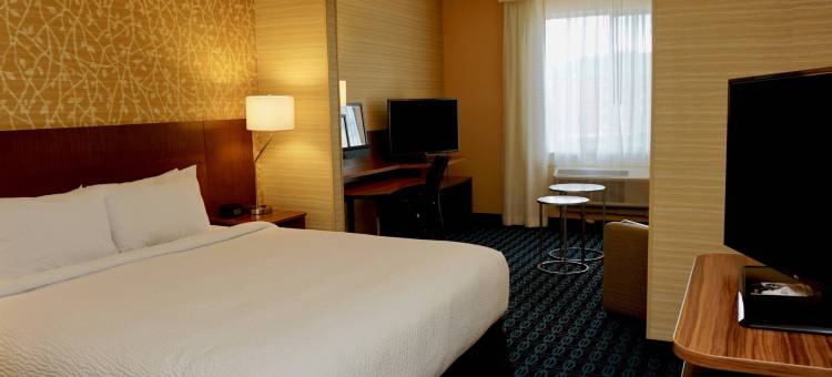 黎巴嫩谷万豪万枫酒店(Fairfield Inn & Suites Jonestown Lebanon Valley)图片