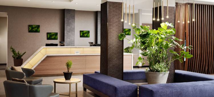 米尔皮塔斯硅谷万豪SpringHill Suites酒店(SpringHill Suites Milpitas Silicon Valley)图片