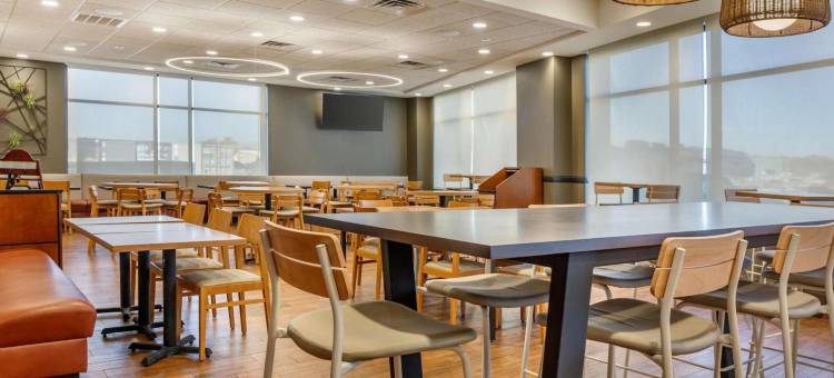 圣路易斯西南德鲁里套房酒店(Drury Inn & Suites St. Louis-Southwest)图片