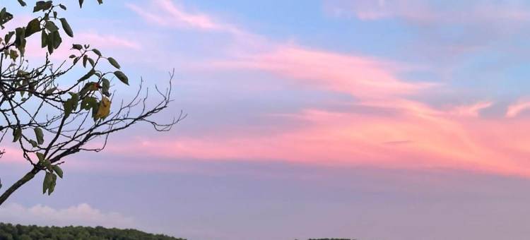 卡萨格兰1771号精品酒店(Hotel Montrubí 1771 - Slow Winery Hotel - Adults Only)图片