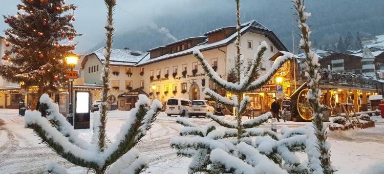 加尼斯纳特纳霍夫酒店(Hotel Garni Snaltnerhof)图片