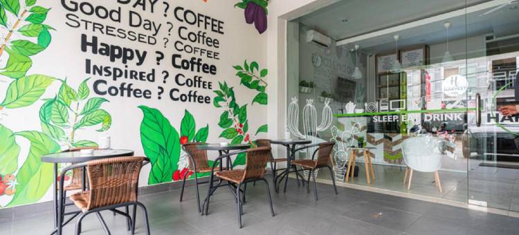 红多兹Plus帕纳库康丰收旅馆(RedDoorz Plus at Harvest Inn Panakkukang)图片