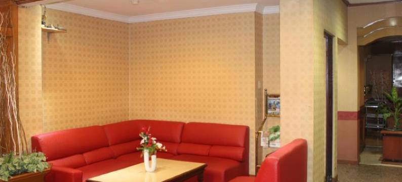 优思明酒店(Hotel Yasmin)图片