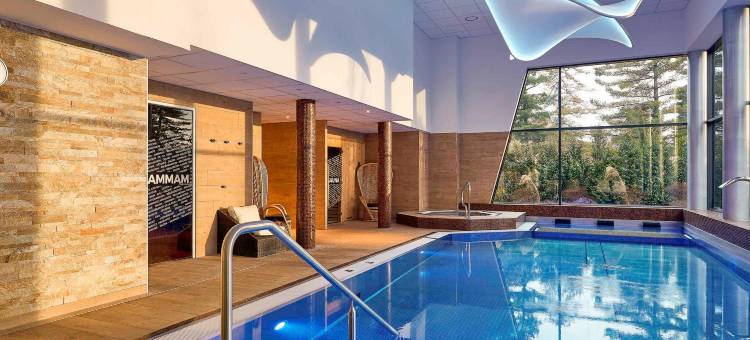 巴塞尔米卢斯机场美居酒店(Mercure Bale Mulhouse Aeroport)图片