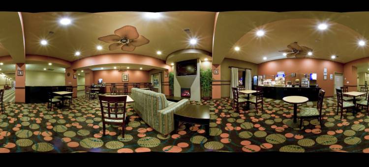 智选假日套房酒店新乐北(Holiday Inn Express & Suites Shamrock North)图片