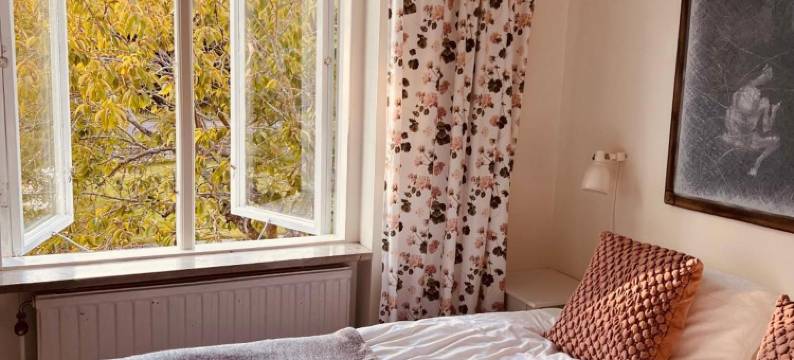 Gåsen Out B&B图片