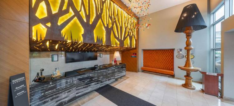 伊斯坦布尔亚洲卡瓦奇克丽柏酒店(Park Inn by Radisson Istanbul Asia Kavacik)图片