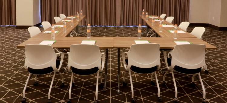 蒙特雷阿波达卡佐纳机场假日套房酒店(Holiday Inn & Suites Monterrey Apodaca Zona Airport)图片