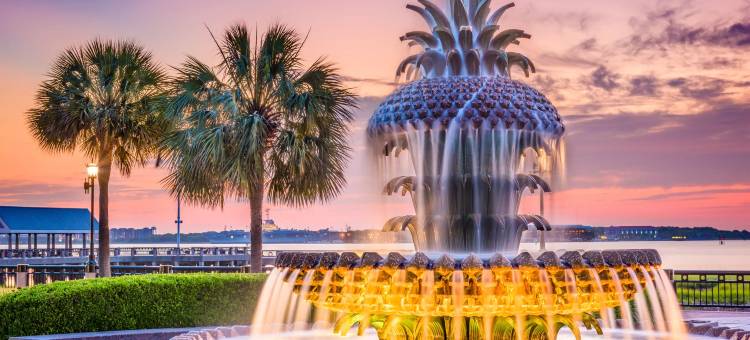 洲际酒店集团旗下查尔斯顿市中心西缘智选假日酒店及套房(Holiday Inn Express & Suites CHARLESTON DWTN - WESTEDGE by IHG)图片