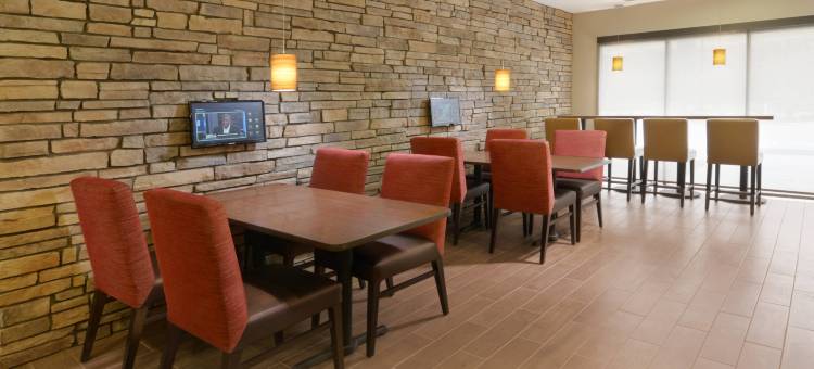 丹佛南/隆特利TownePlace套房酒店(TownePlace Suites Denver South/Lone Tree)图片