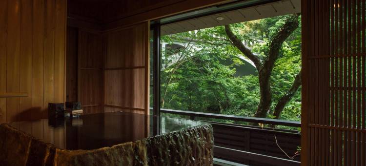 山中温泉花紫(Yamanakaonsen Hanamurasaki)图片