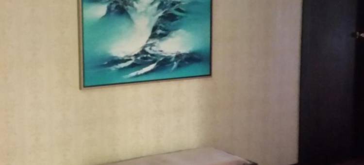 福沃科思酒店(Foveaux Hotel)图片