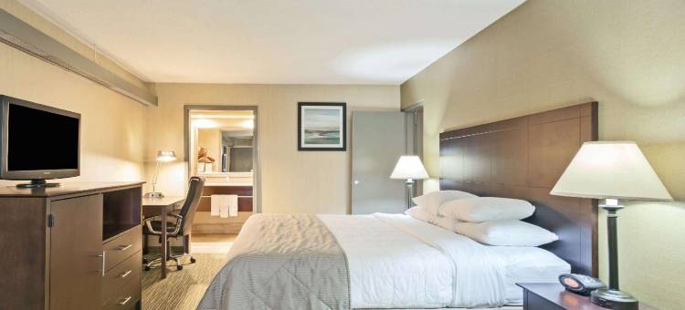 温德姆花园安阿伯酒店(Wyndham Garden Ann Arbor)图片