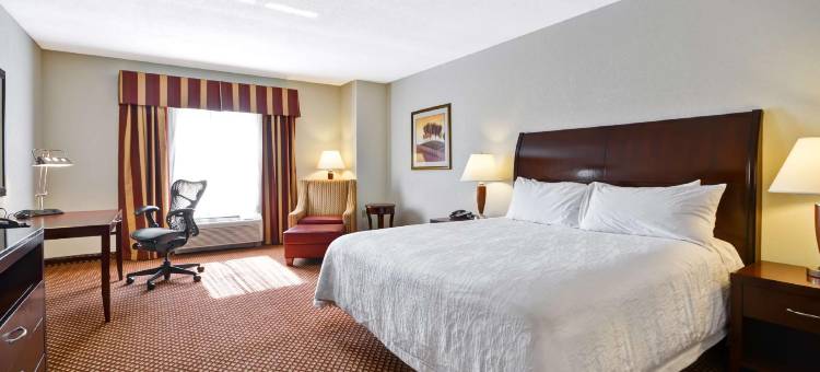 布兰登坦帕河景希尔顿花园酒店(Hilton Garden Inn Tampa/Riverview/Brandon)图片