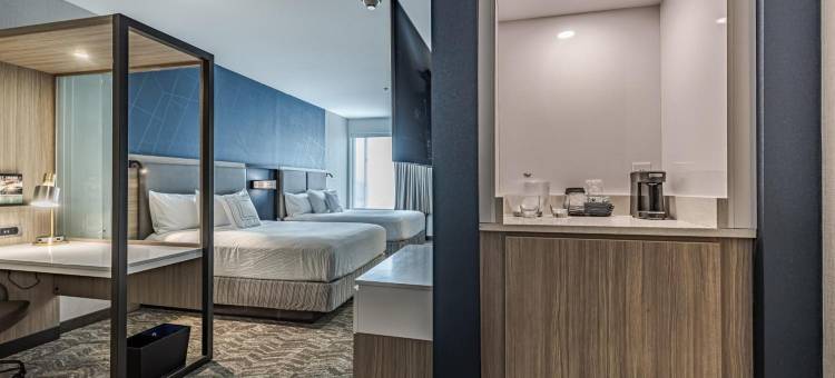 韦恩堡西南SpringHill Suites酒店(SpringHill Suites Fort Wayne Southwest)图片