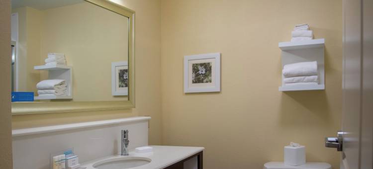 圣路易斯切斯特菲尔德欢朋酒店(Hampton Inn St. Louis/Chesterfield)图片