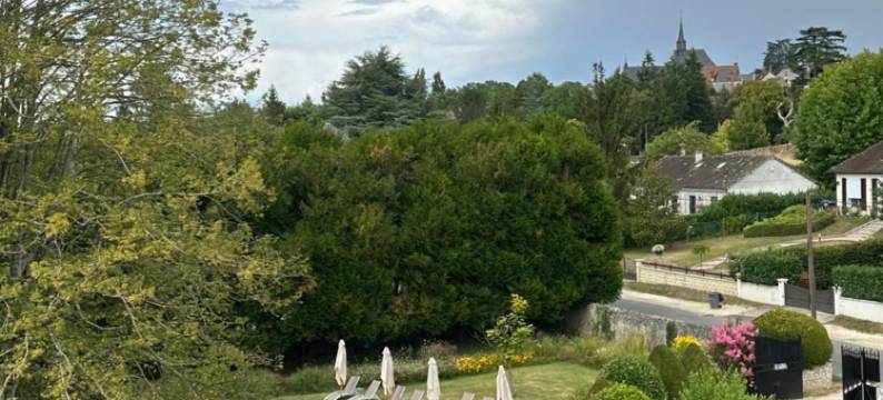 弗朗克伊磨坊酒店(Le Moulin de Francueil)图片