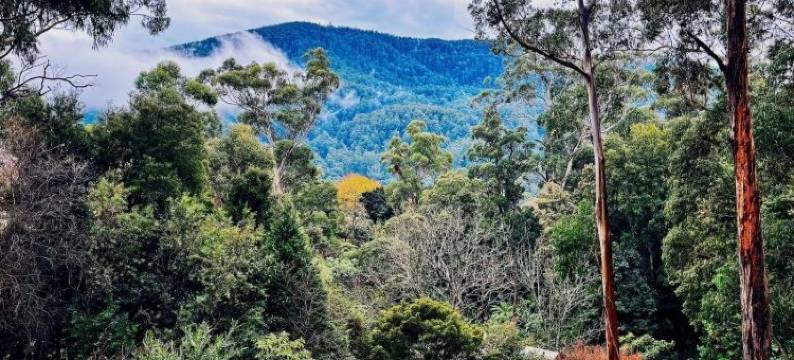 沃伯顿绿山墙汽车旅馆(Green Gables Motel in Warburton)图片