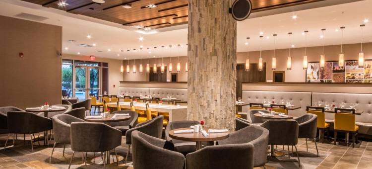 迈克艾伦会议中心坎布里亚酒店(Cambria Hotel McAllen Convention Center)图片