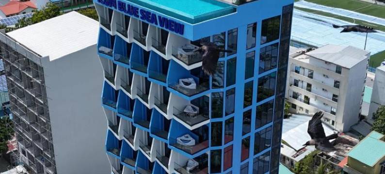 iCom 蓝海景(iCom Blue Sea View)图片