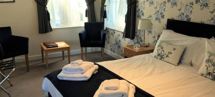 在手之鸟酒店(The Bird in Hand)图片