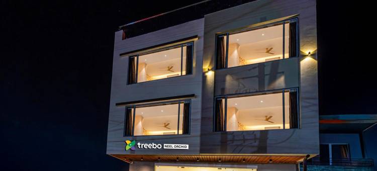 Treebo Neel Orchid图片