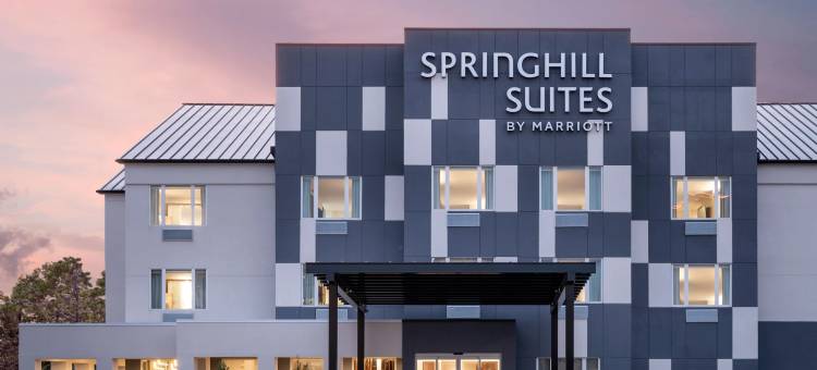 休斯顿布鲁克哈罗万豪SpringHill酒店(SpringHill Suites Houston Brookhollow)图片
