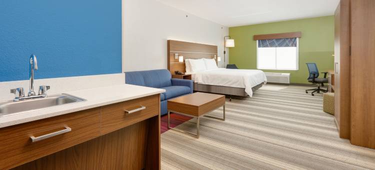 智选假日套房酒店登顿- UNT - TWU(Holiday Inn Express & Suites Denton North)图片