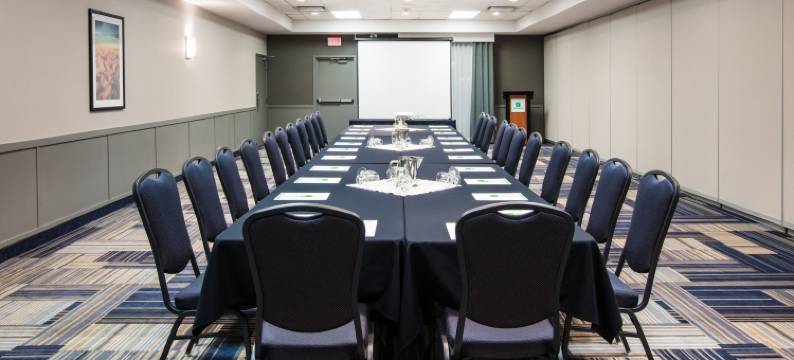 Holiday Inn & Suites 大草原城会议CTR(Holiday Inn & Suites GRANDE PRAIRIE-CONFERENCE CTR by IHG)图片