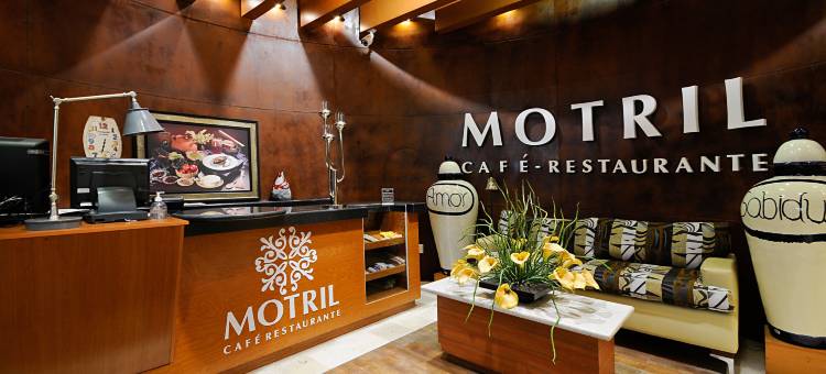 伊拉普阿托假日酒店(Holiday Inn Irapuato)图片