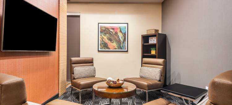 夏洛特穆尔斯维尔万豪TownePlace Suites酒店(TownePlace Suites Charlotte Mooresville)图片