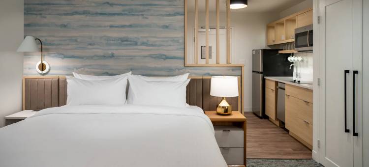 哈德利阿默斯特 TownePlace Suites 酒店(TownePlace Suites Hadley Amherst)图片