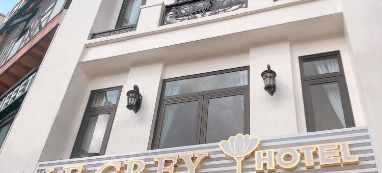 大叻灰色酒店(Le Grey Dalat Hotel)图片