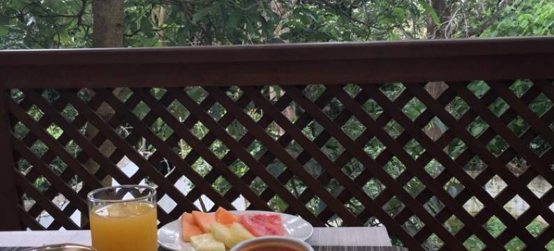 进出酒店(In & Out Hotel)图片