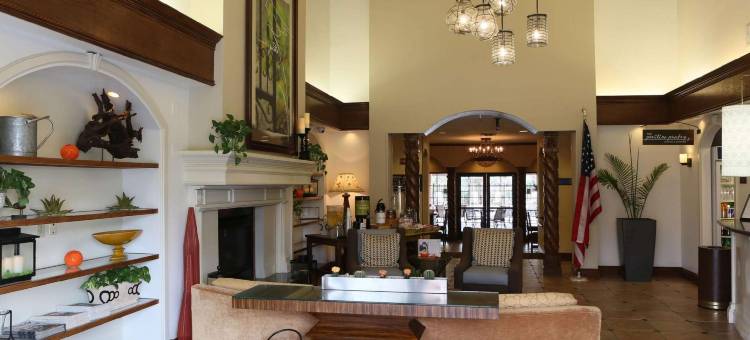 凤凰城机场希尔顿花园旅馆(Hilton Garden Inn Phoenix Airport)图片