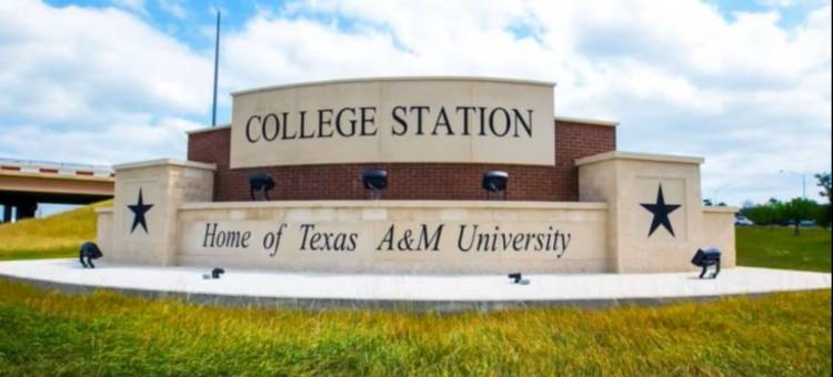 阿吉兰精品酒店(Voco College Station Aggieland by IHG)图片