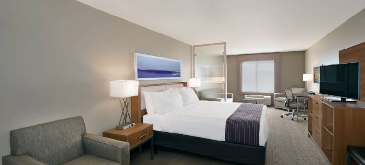 智选假日套房酒店南温泉城(Holiday Inn Express & Suites HOT SPRINGS by IHG)图片