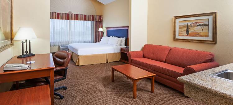 智选假日套房酒店拉雷多，活动中心区(Holiday Inn Express & Suites Laredo-Event Center Area)图片