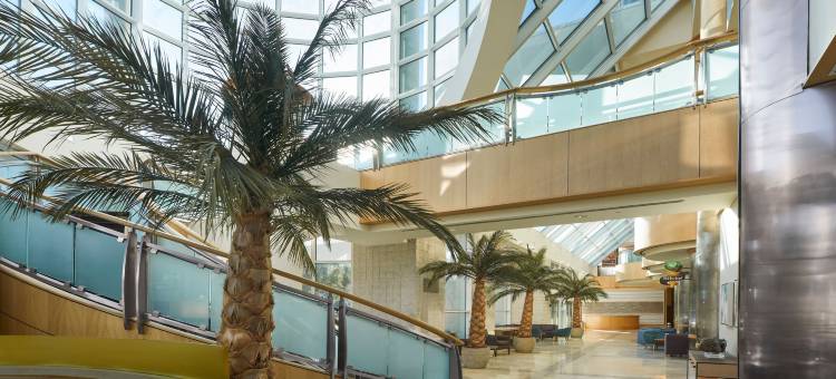 默特尔比奇喜来登酒店(Sheraton Myrtle Beach)图片